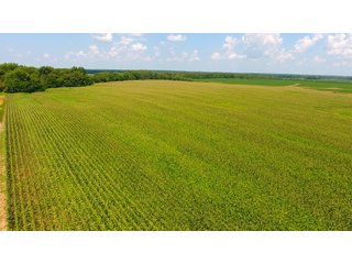 Property photo 4 - FARMLAND AUCTION - 240+/- ACRES IN 3 TRACTS IN JEFFERSON COUNTY, ILLINOIS